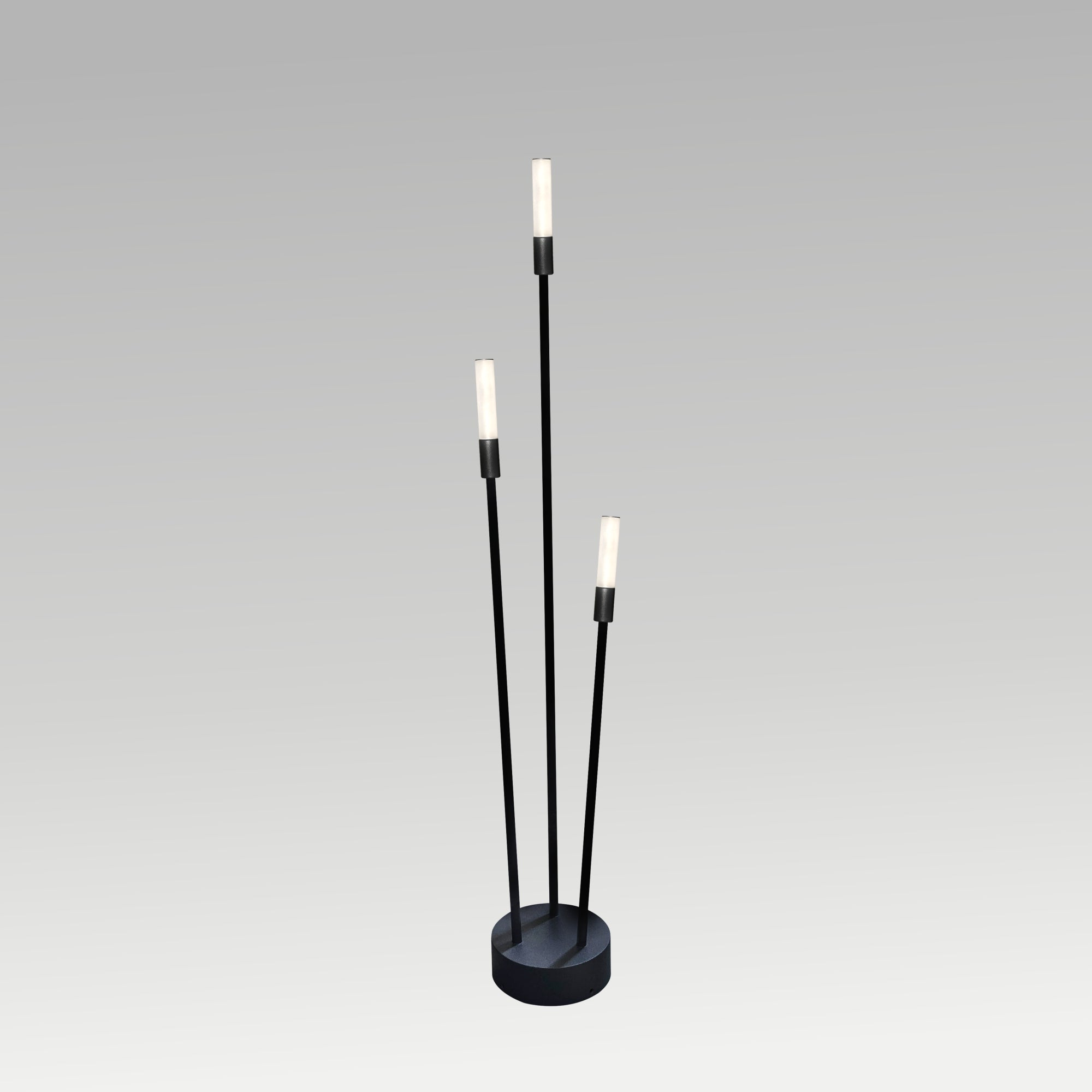Garden Spike Stick Light