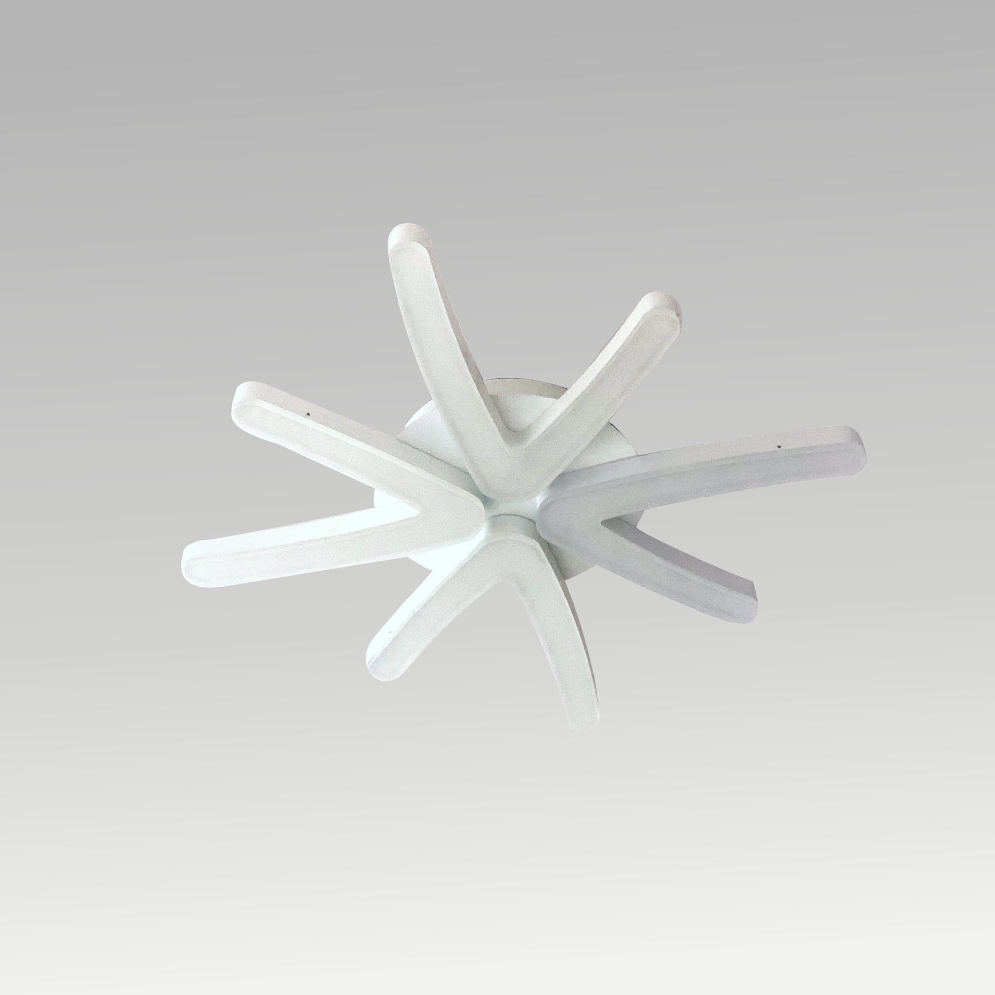 Austin Ceiling Mounted Light