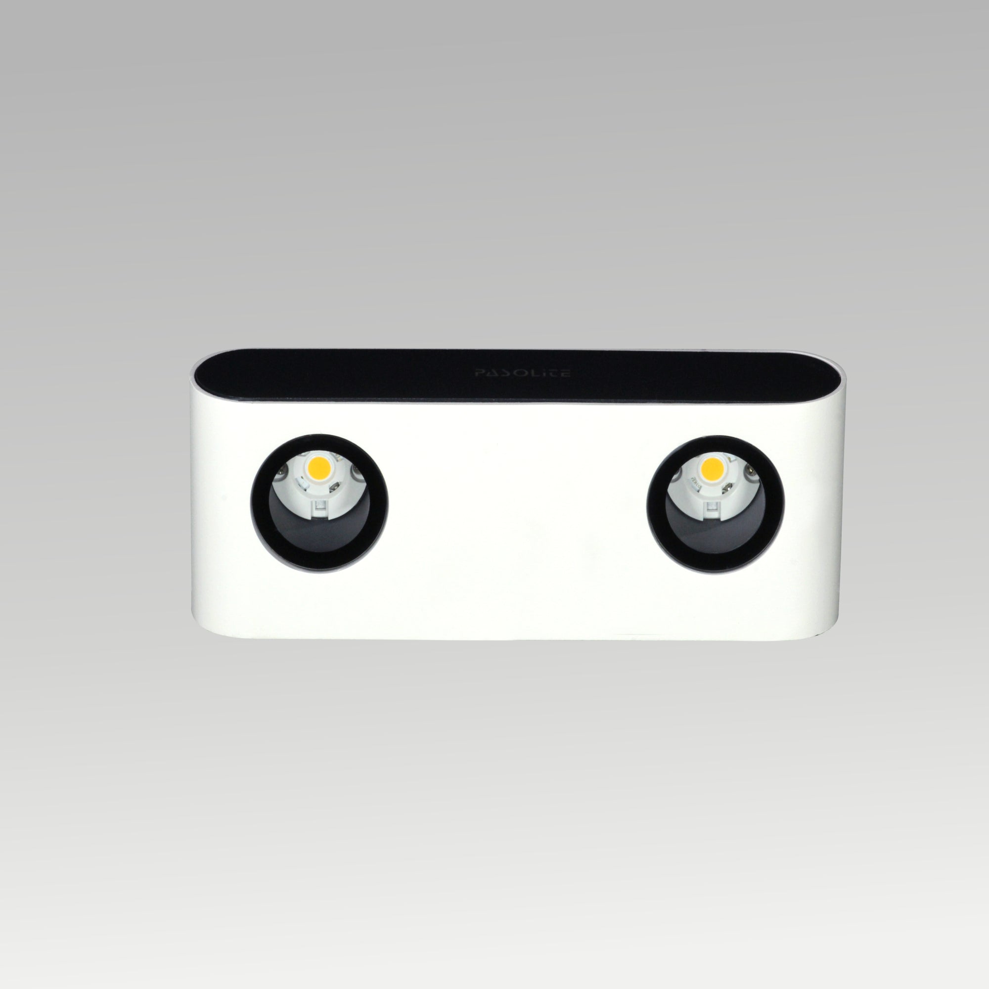 10w Up Down Outdoor Wall Lights