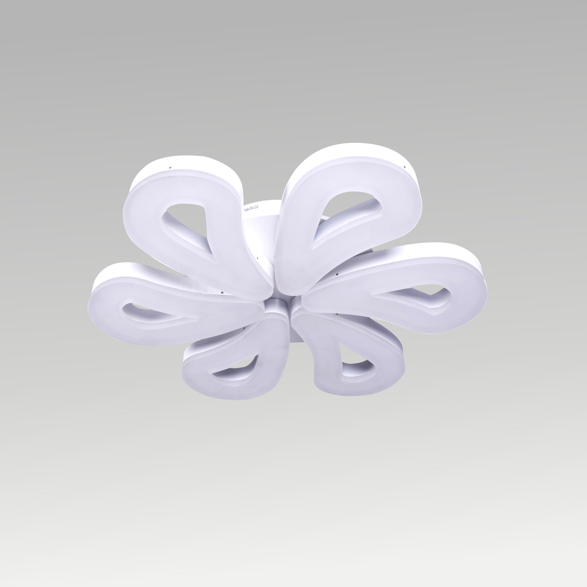 Rose Well Ceiling Light
