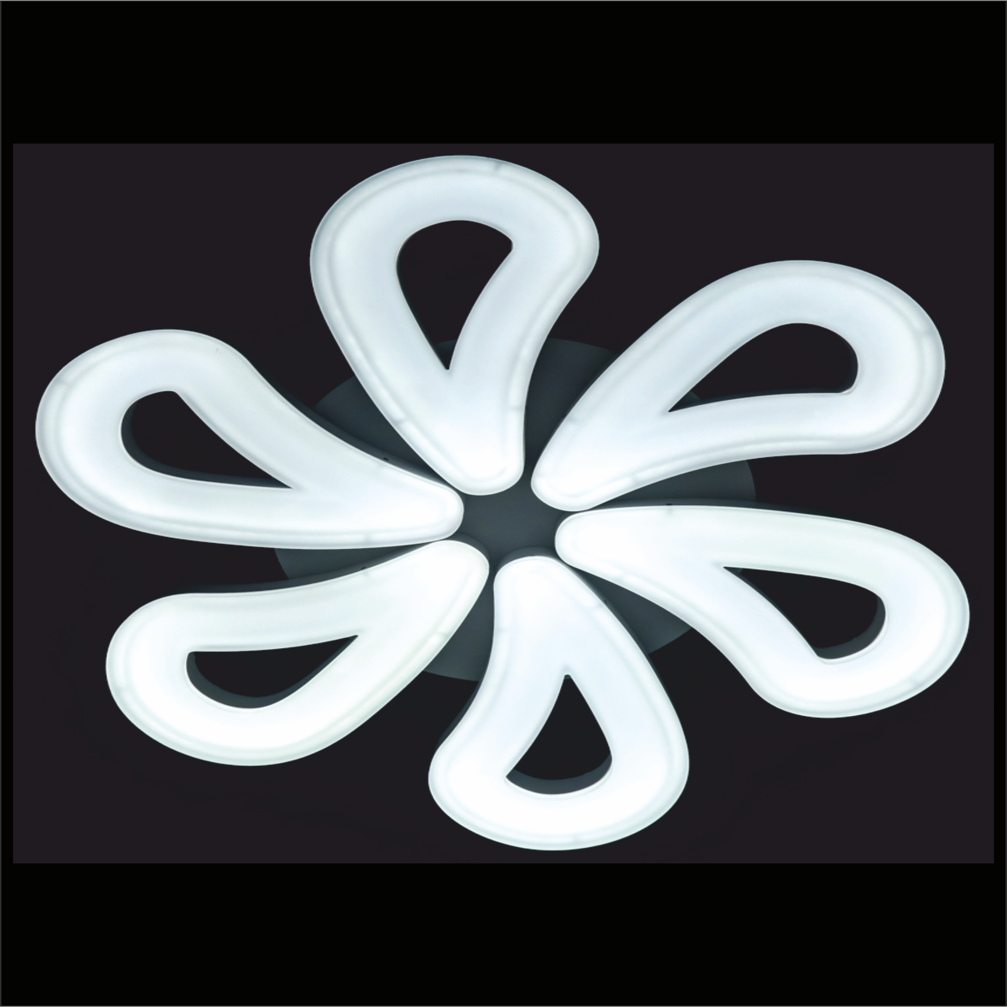Rose Well Ceiling Light