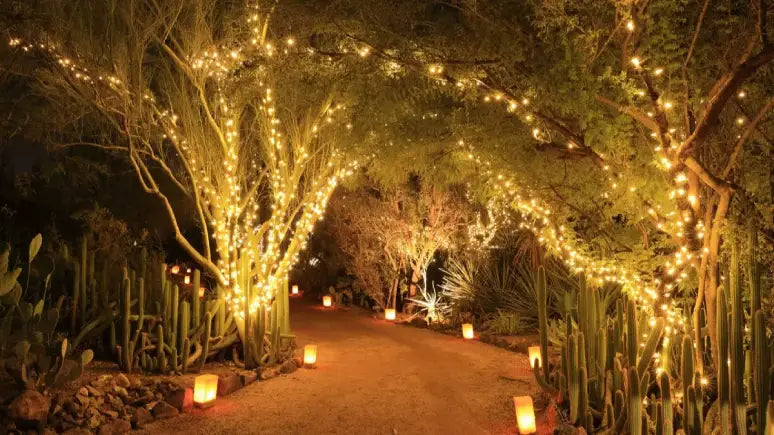 Fairy Lights Over Structured Hanging: Experiencing An Extraordinary Wedding Moment