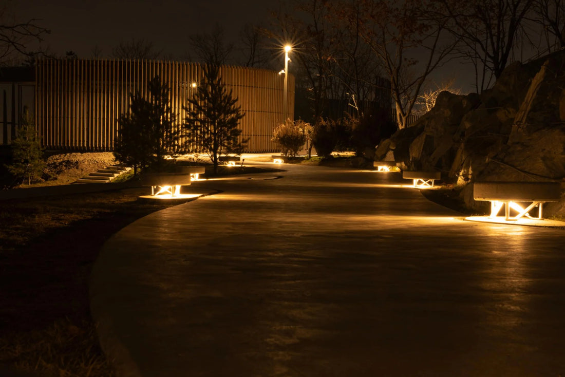 Illuminate your outdoor world with Pasolite: Tips and Tricks for a Landscape lighting