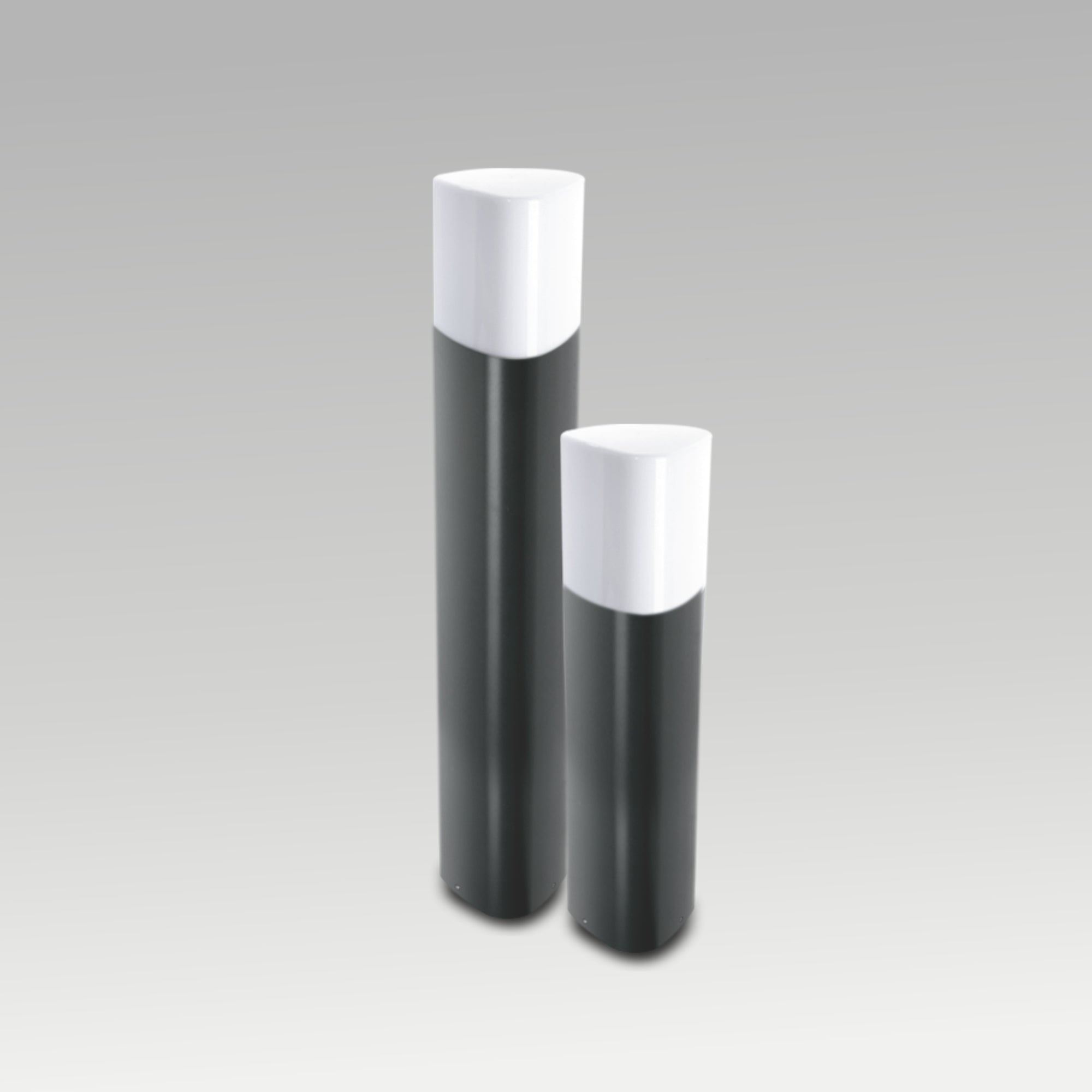 10W Peta Bollard