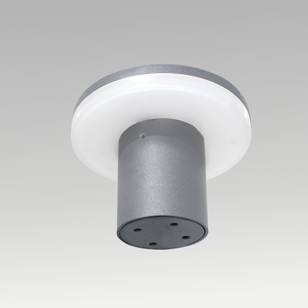 10W Mini & Big Shell Wall Light