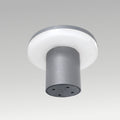 10W Mini & Big Shell Wall Light