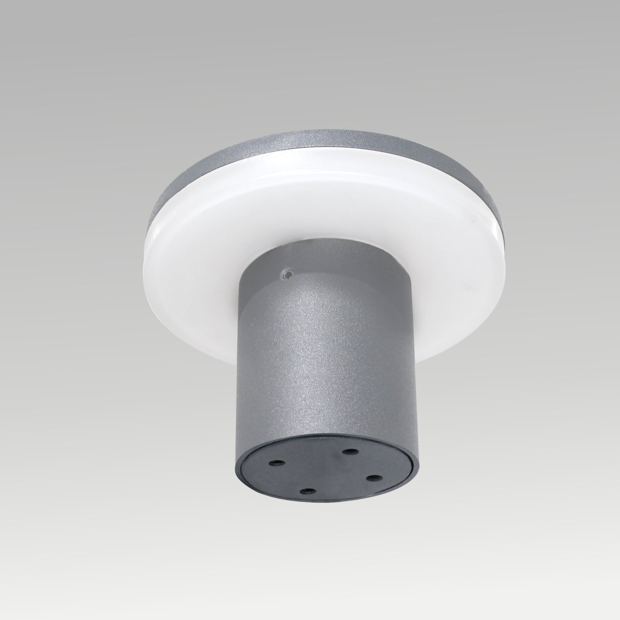 10W Mini & Big Shell Wall Light