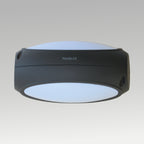 8W Wall Light