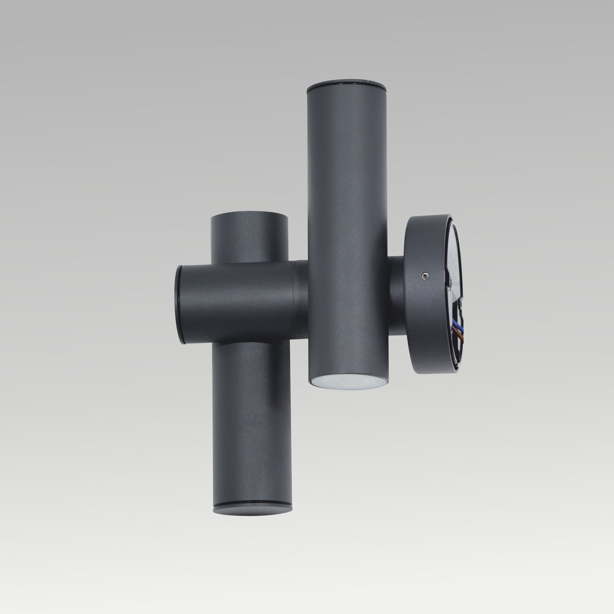 2X3W Double Rotatable Wall Light