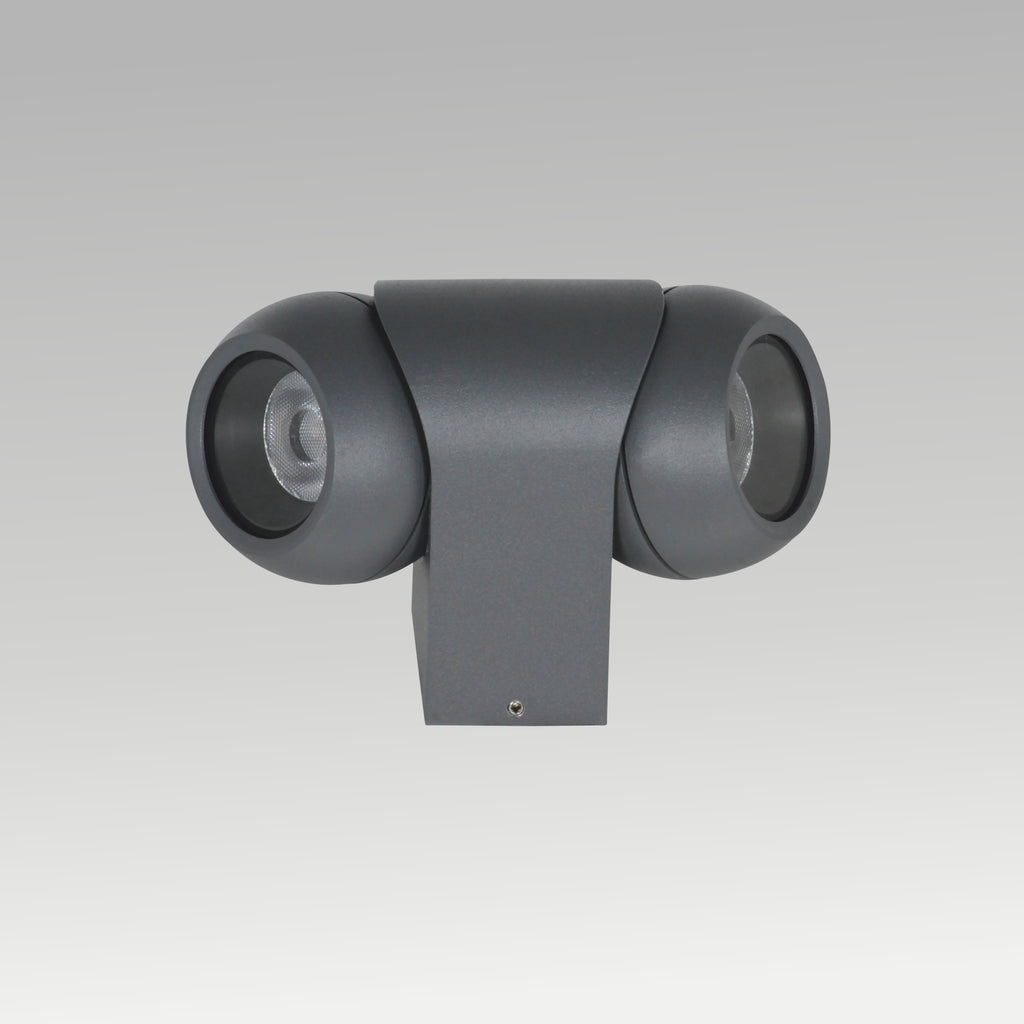 2x3W Rotatable Wall Light