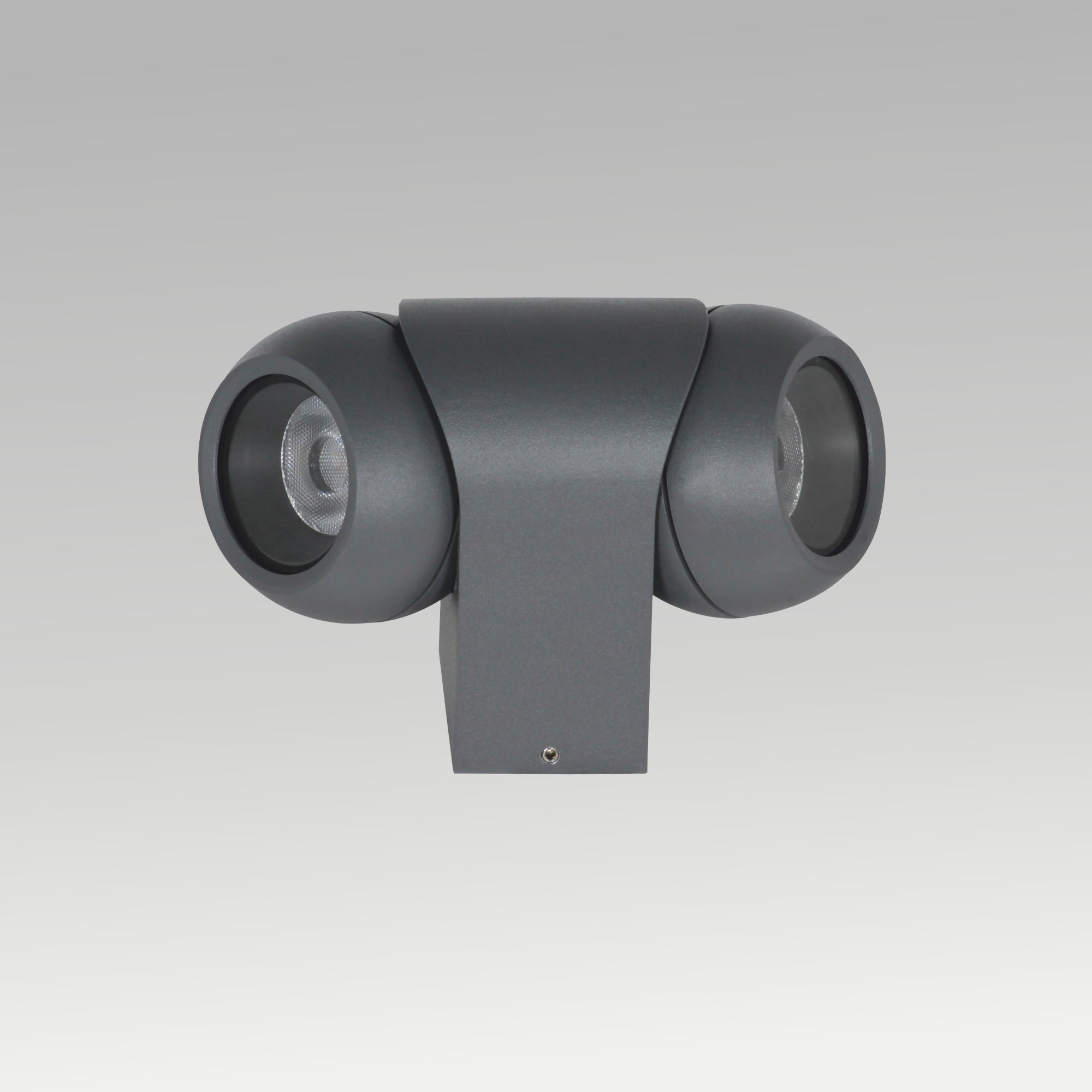 2x3W Rotatable Wall Light