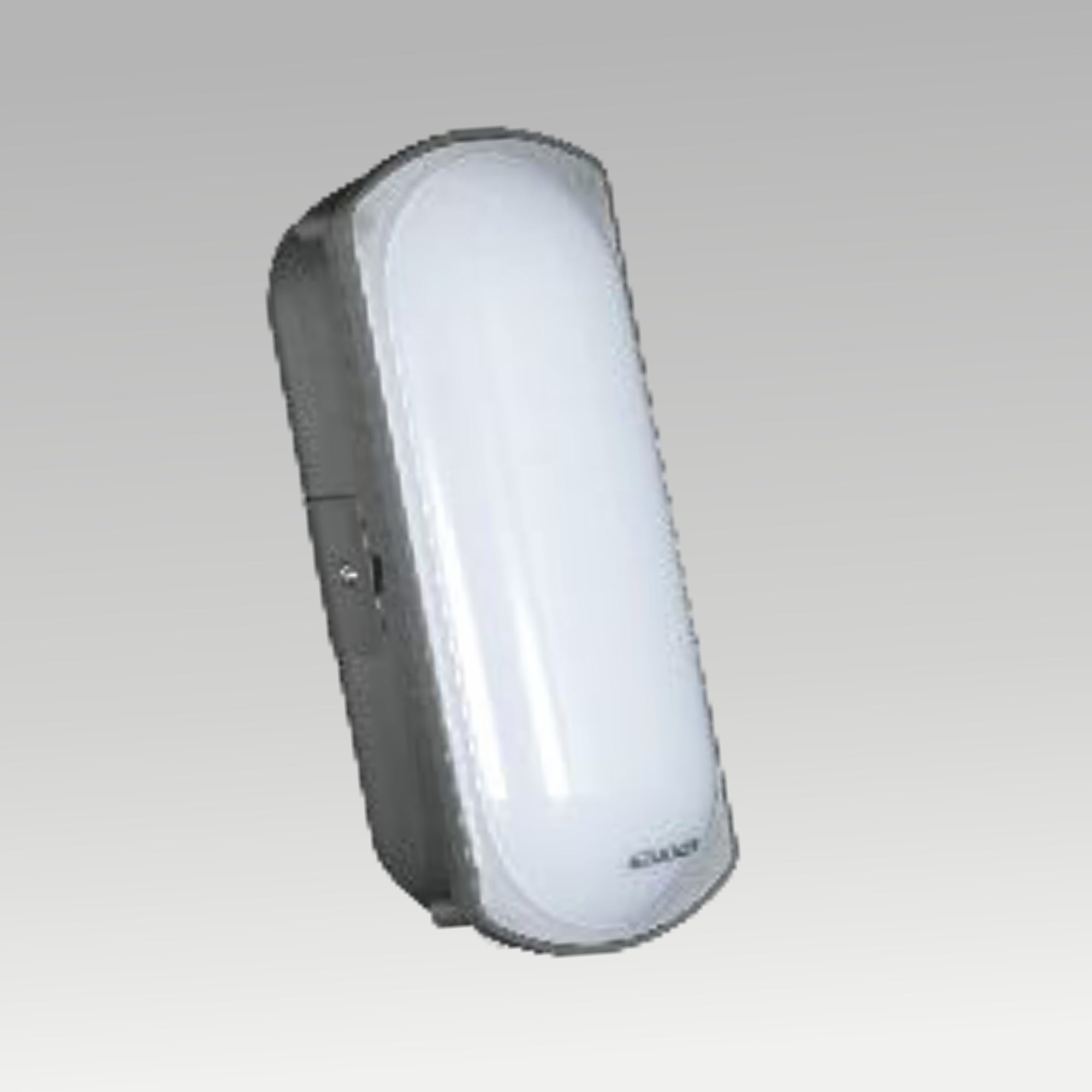 Niko LED Bulkhead