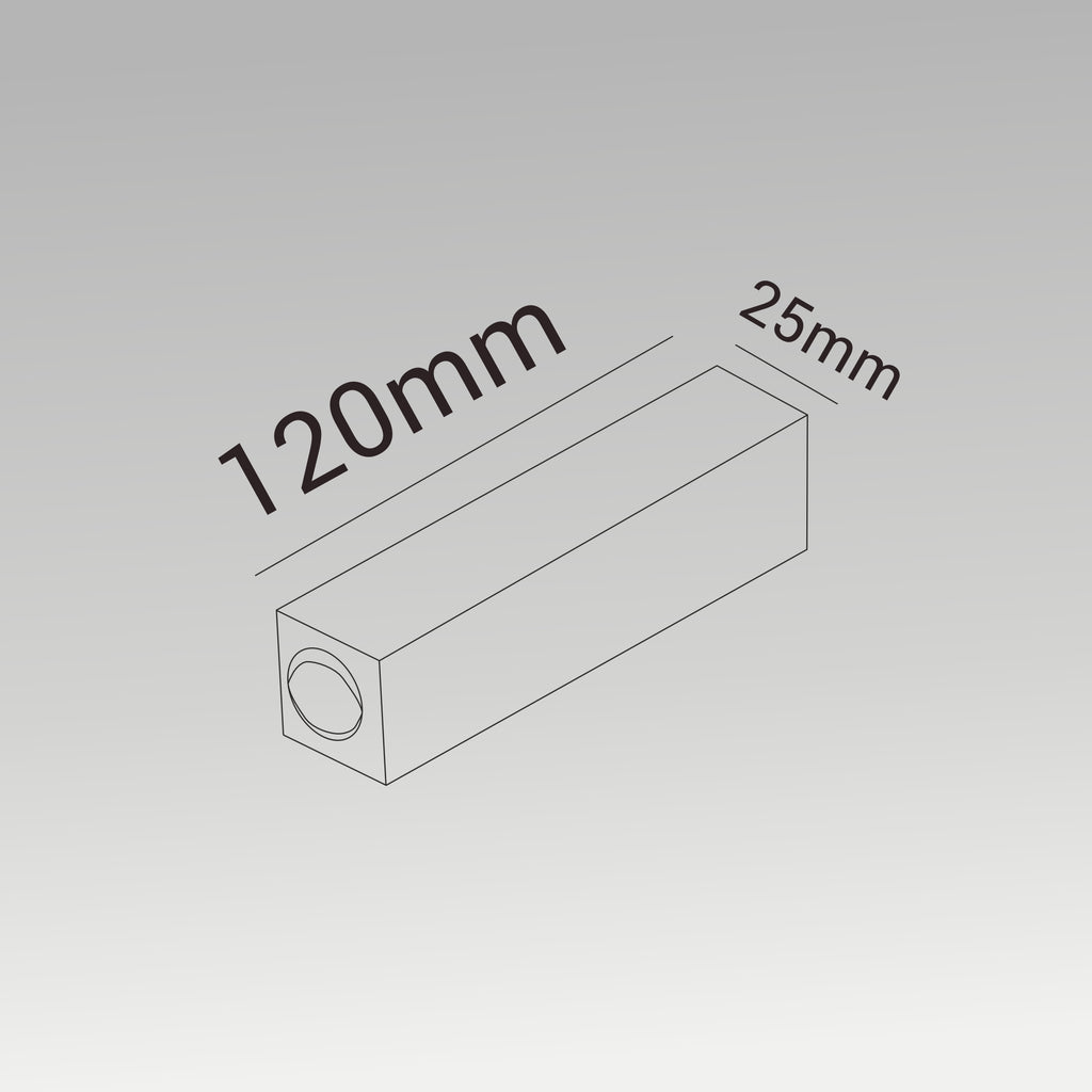 2x3W 2 Ways Laser Wall Light