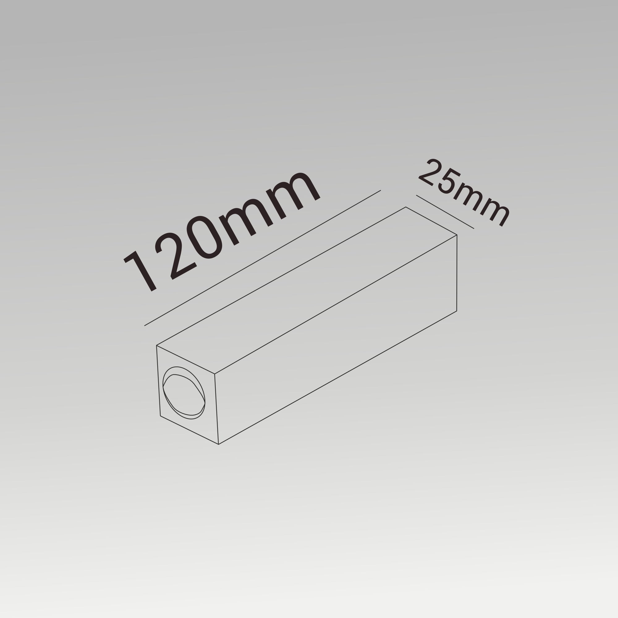 2x3W 2 Ways Laser Wall Light