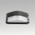 Riley LED Bulkhead