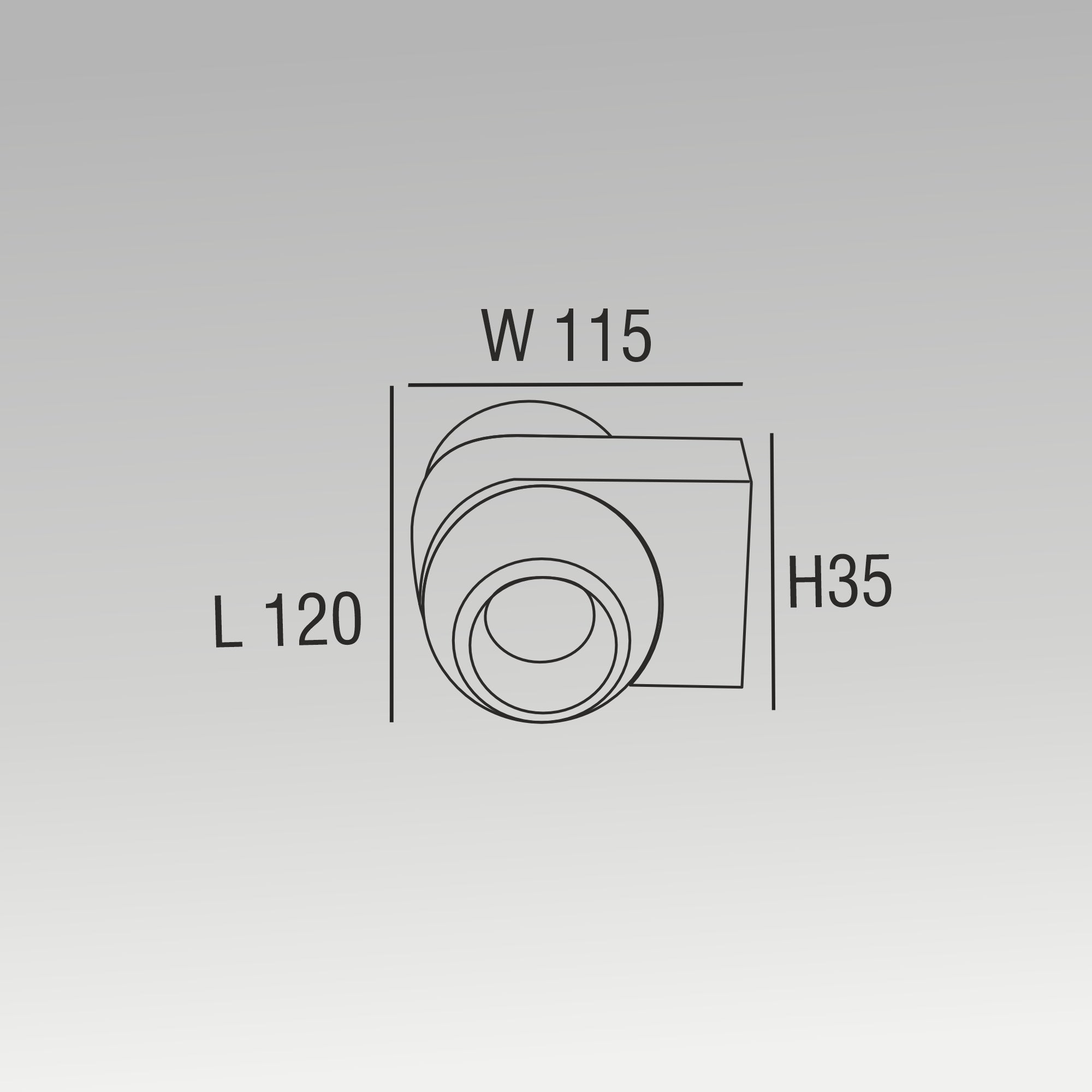 2x3W Rotatable Wall Light