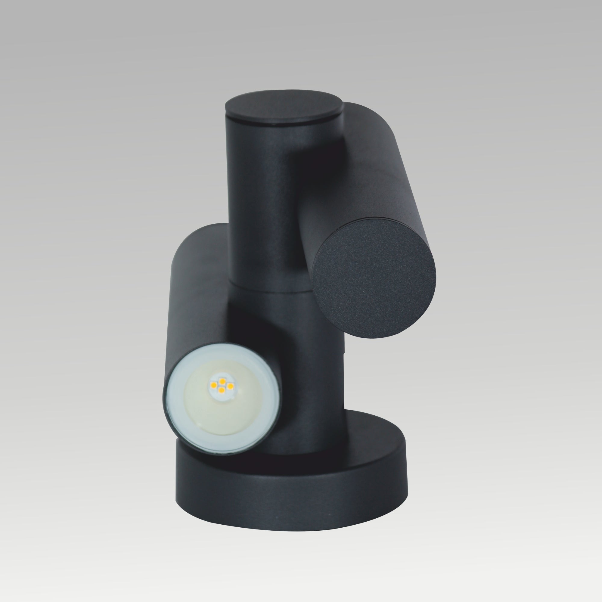 2X3W Double Rotatable Wall Light