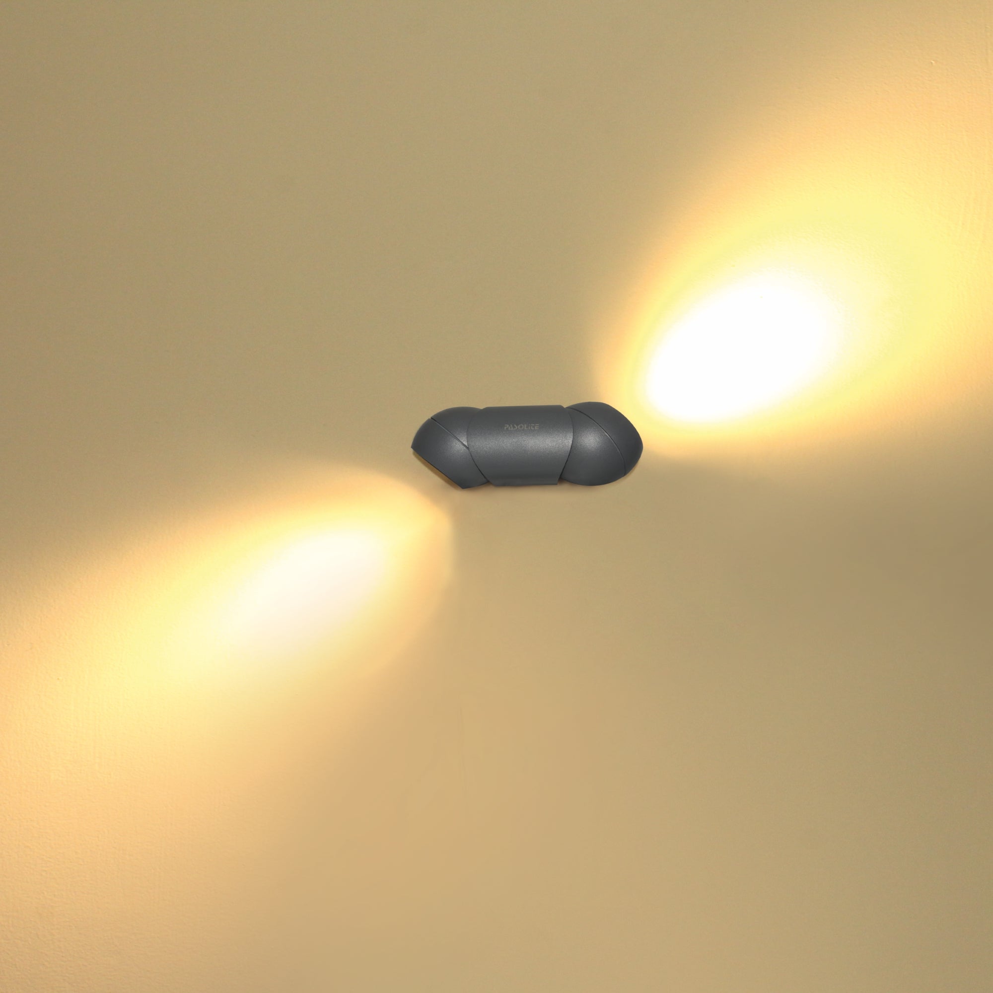 2x3W Rotatable Wall Light