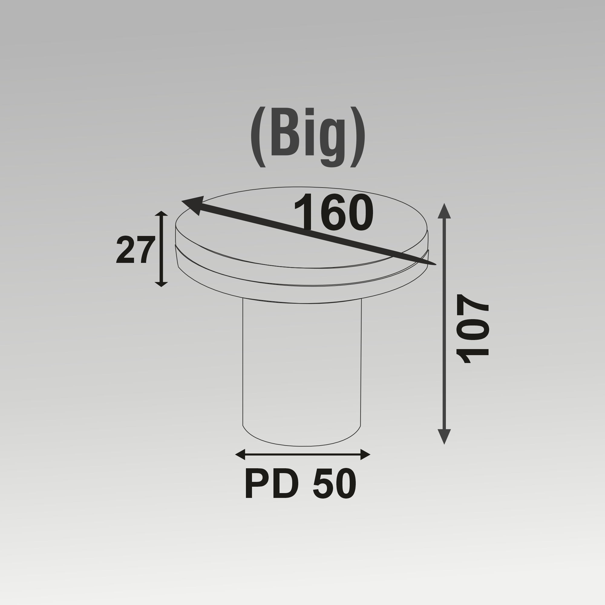 10W Mini & Big Shell Wall Light