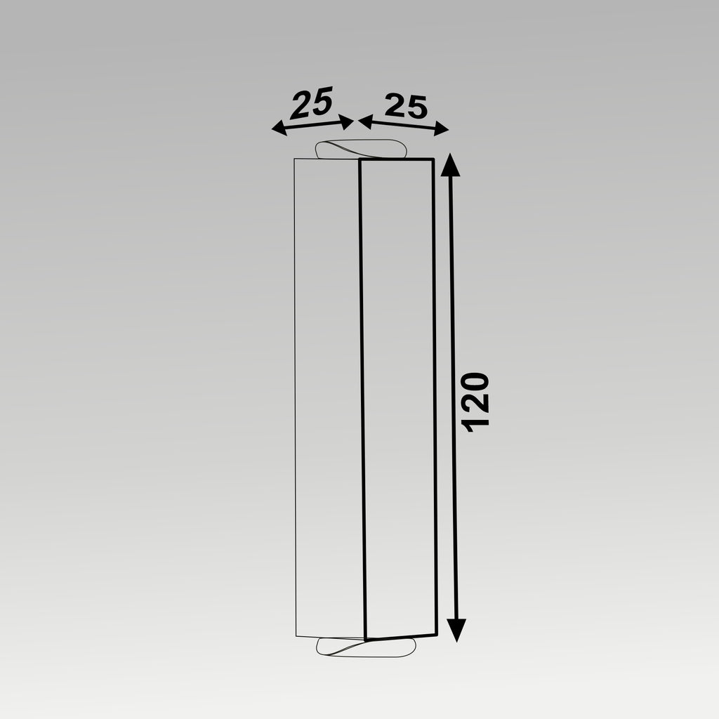 2x3W 2 Ways Laser Wall Light
