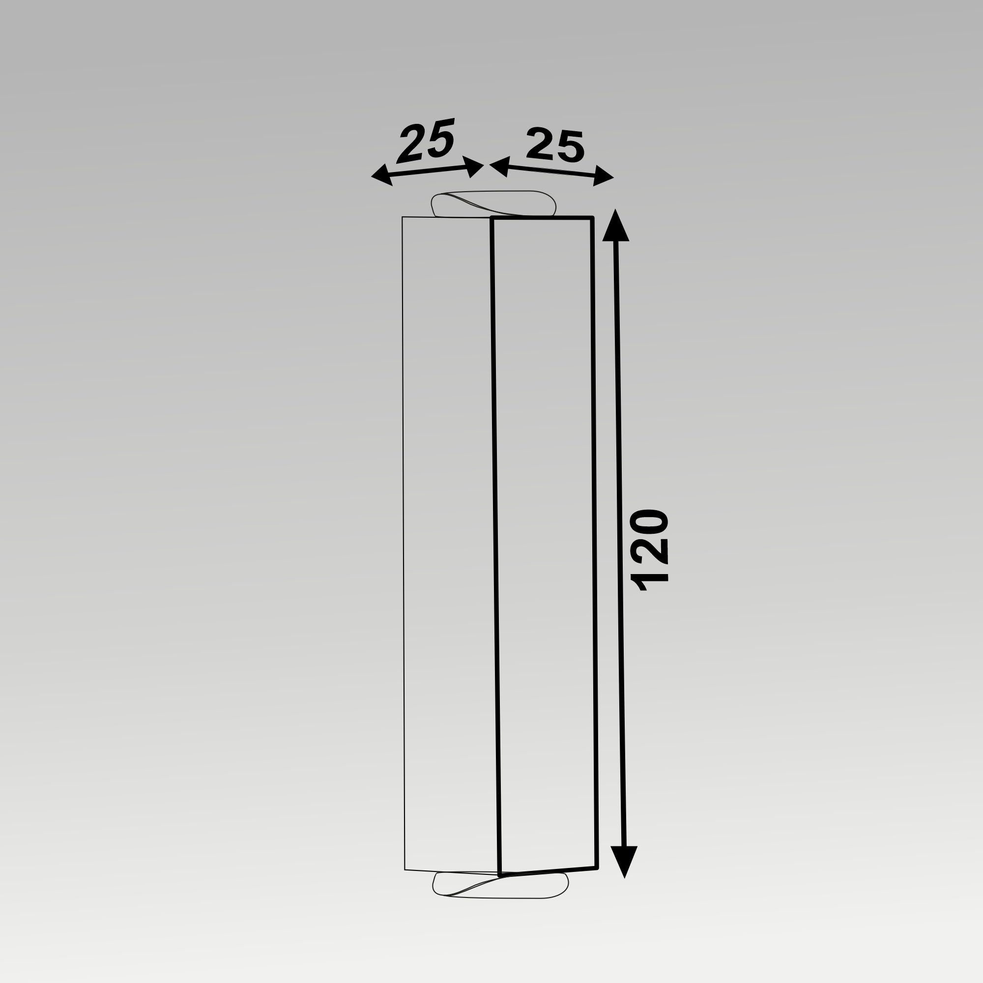 2x3W 2 Ways Laser Wall Light