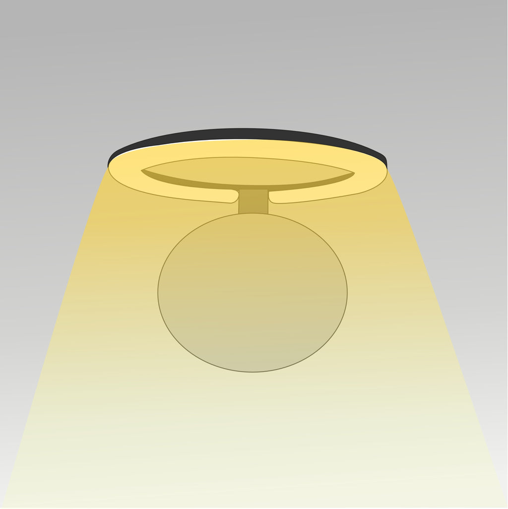 16W Tiltable Wall Light