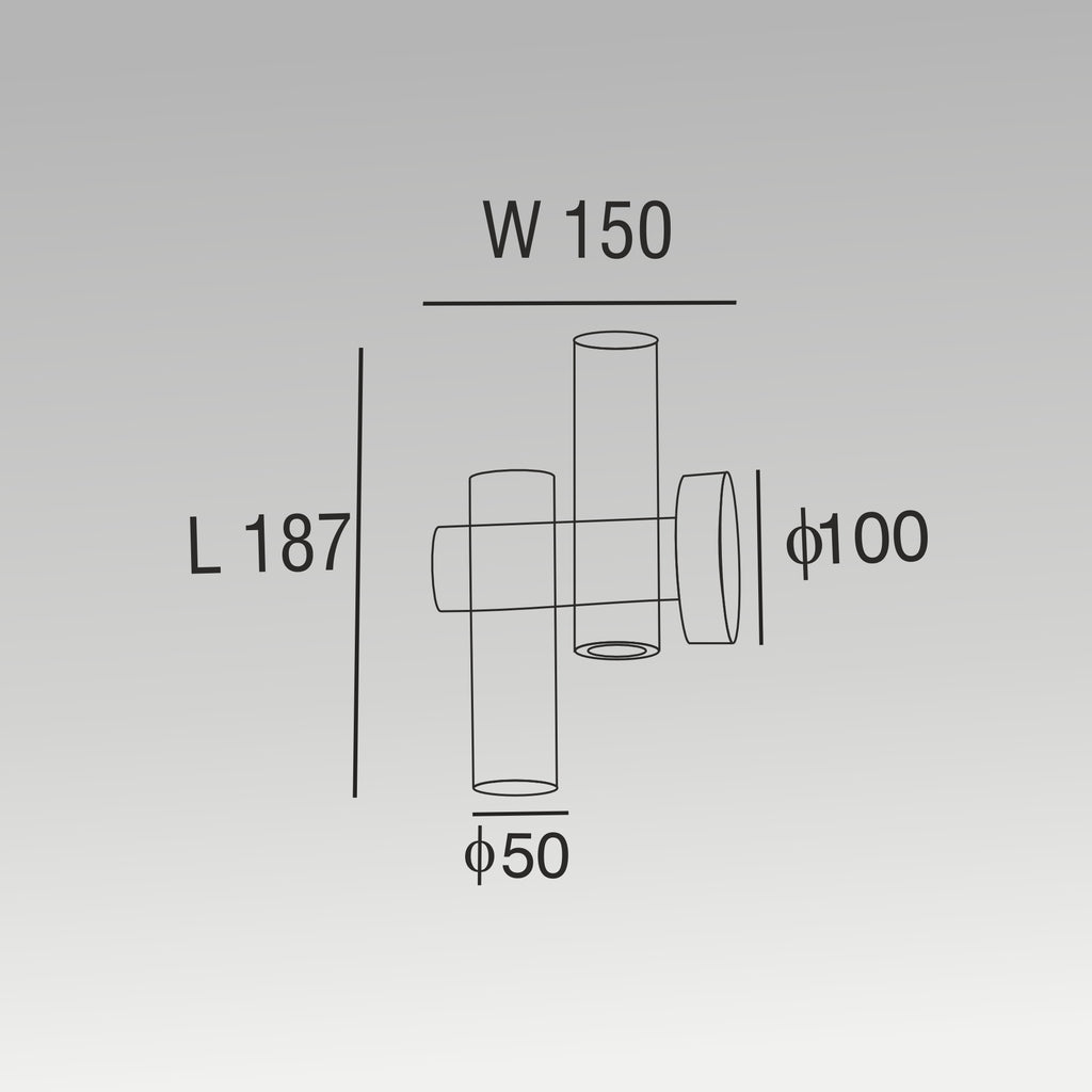 2X3W Double Rotatable Wall Light