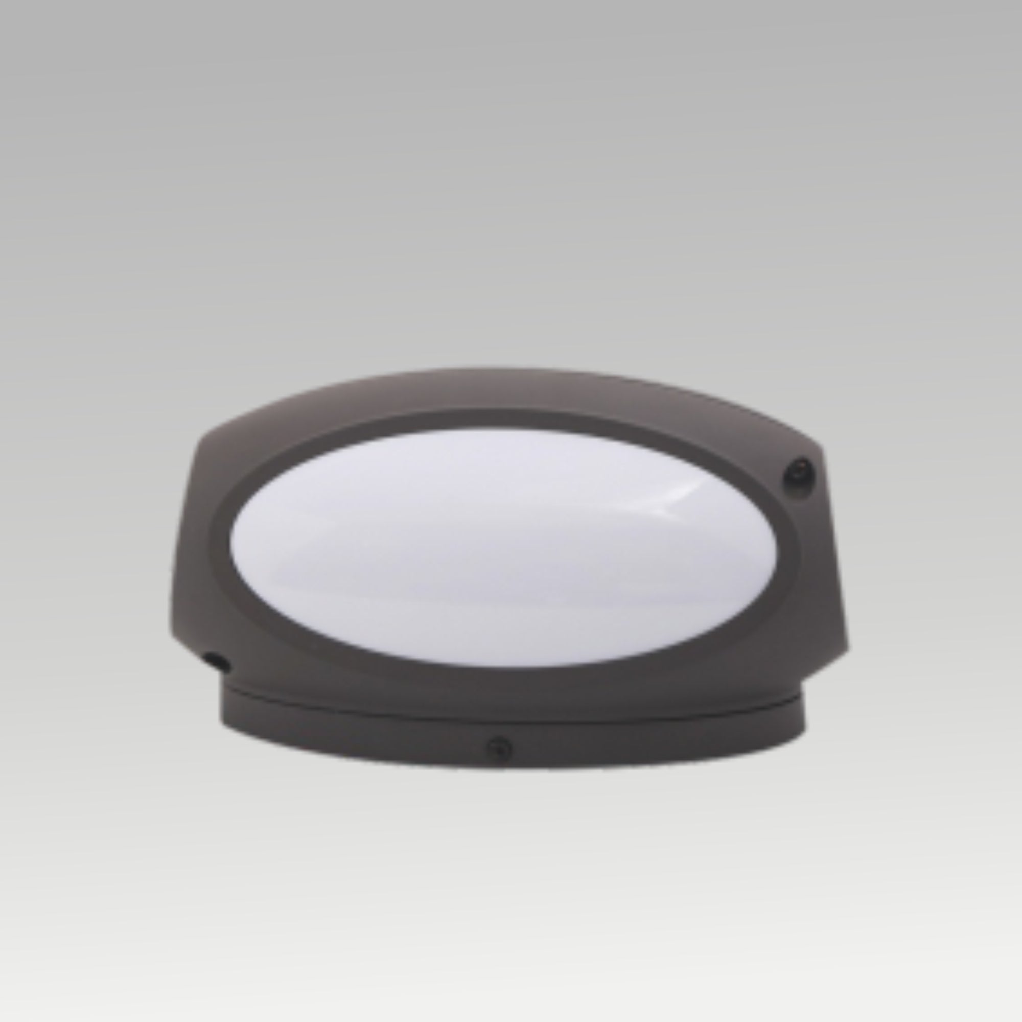 8W Wall Light