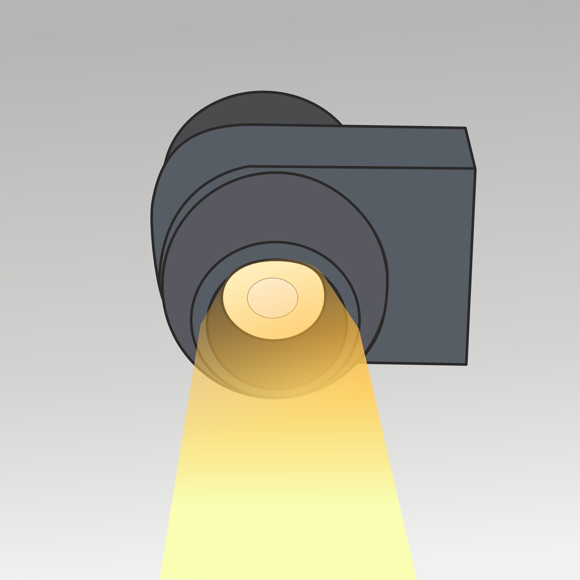 2x3W Rotatable Wall Light