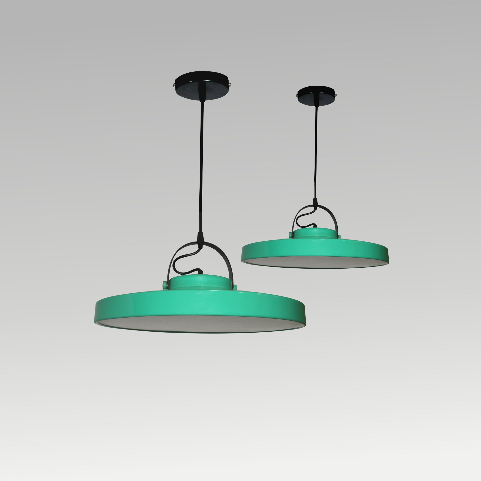 Asteria Hanging Light