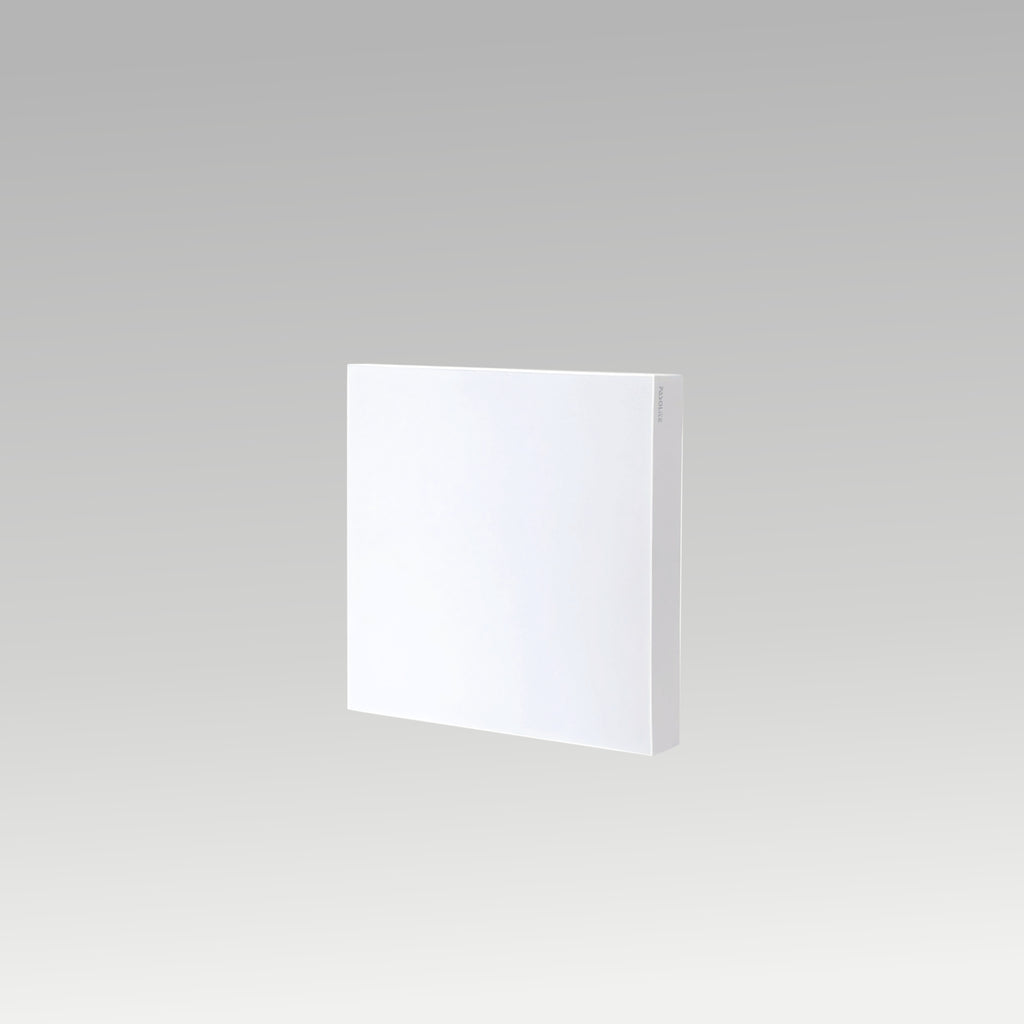 BACK - LIT SURFACE PANEL LIGHT