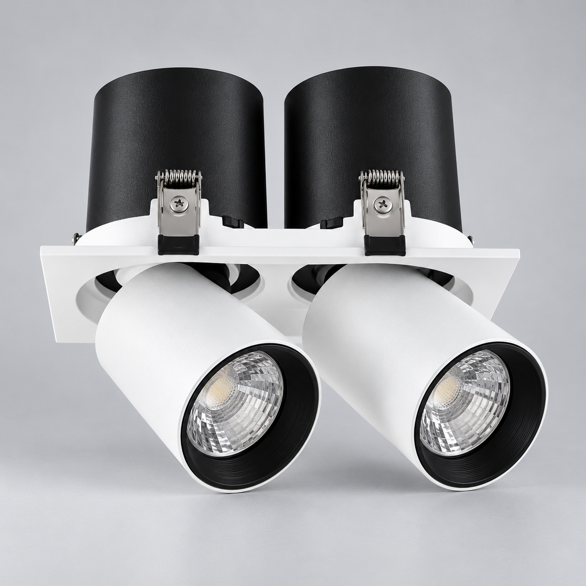 Adjustable Downlight