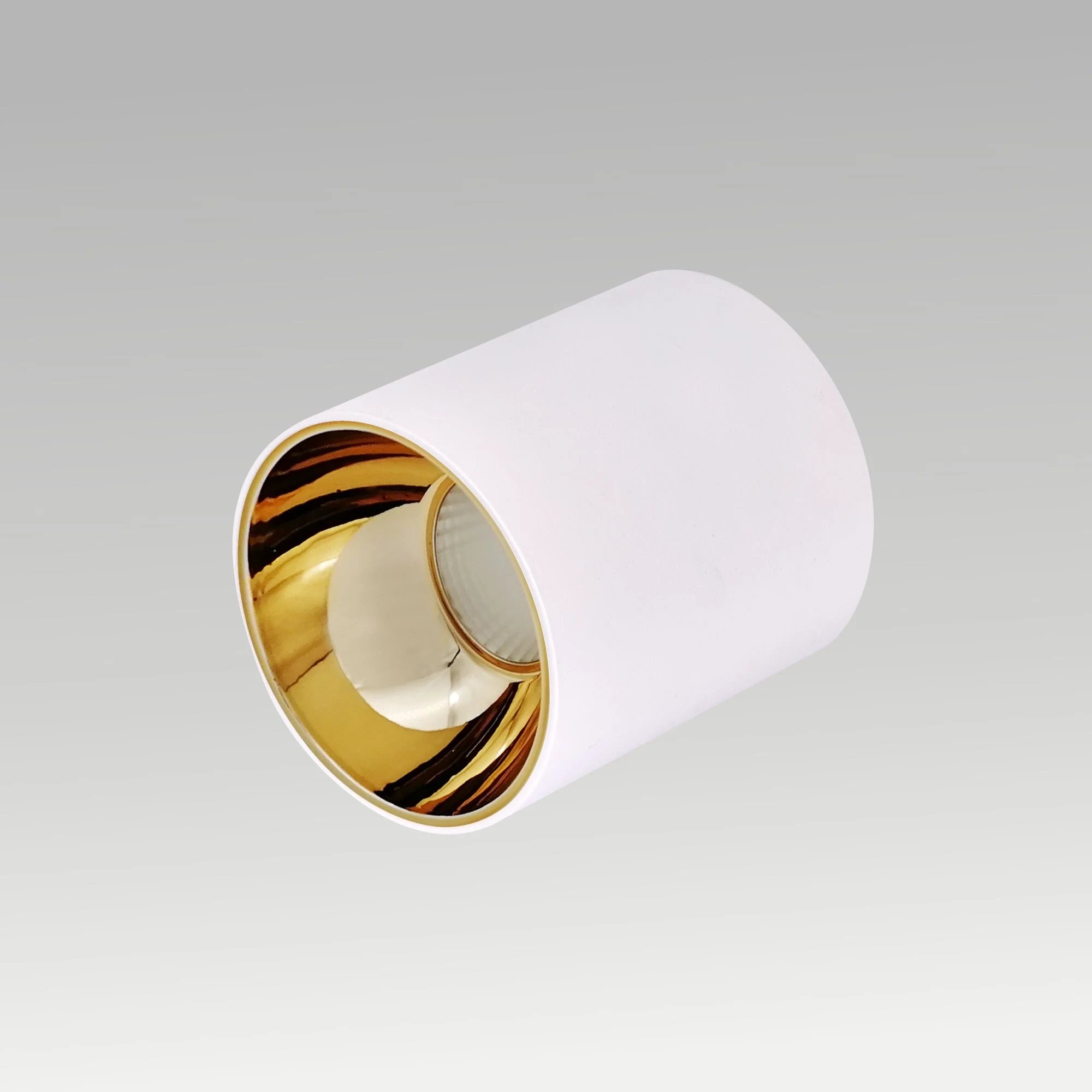 Rox Spot Downlight