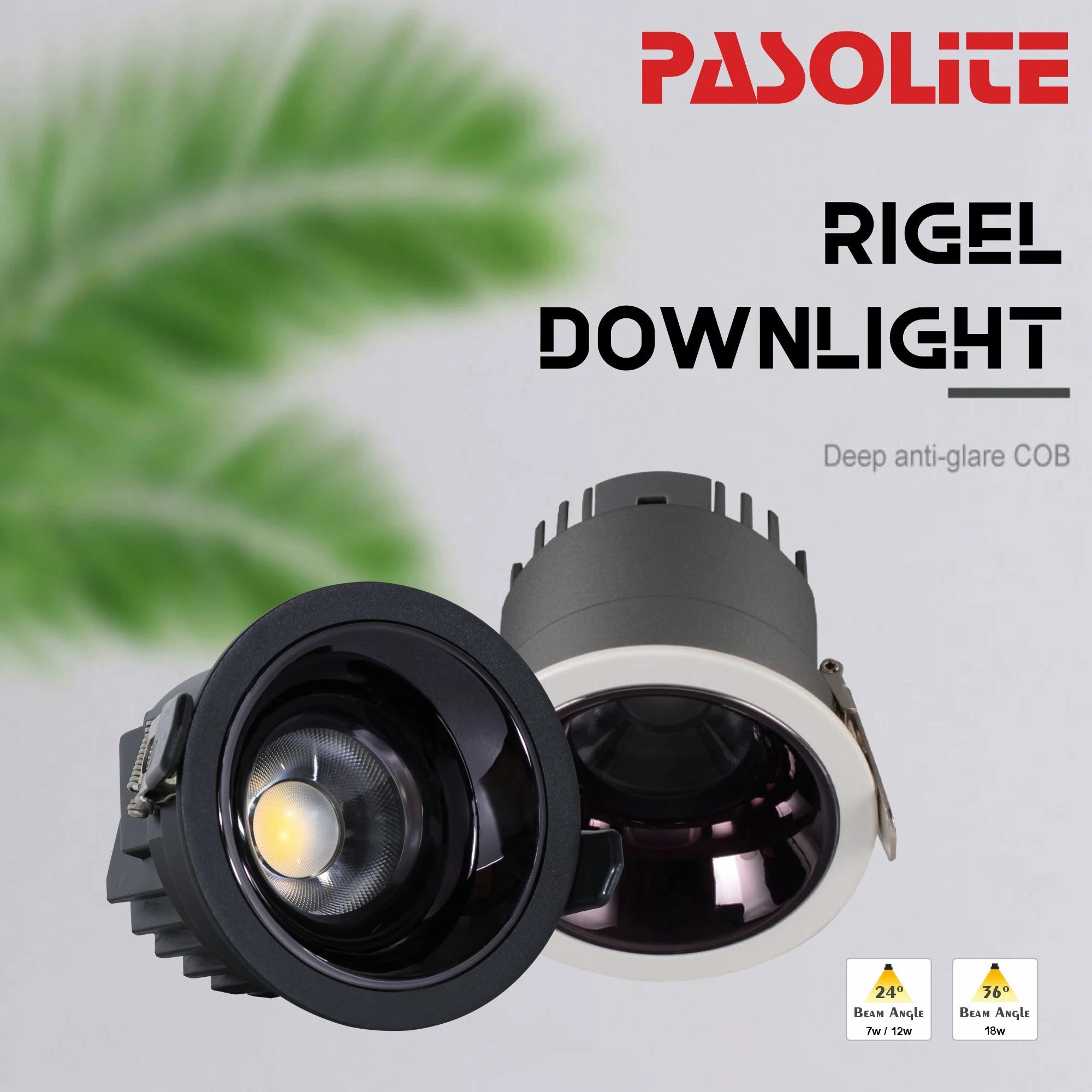 Rigel Downlight