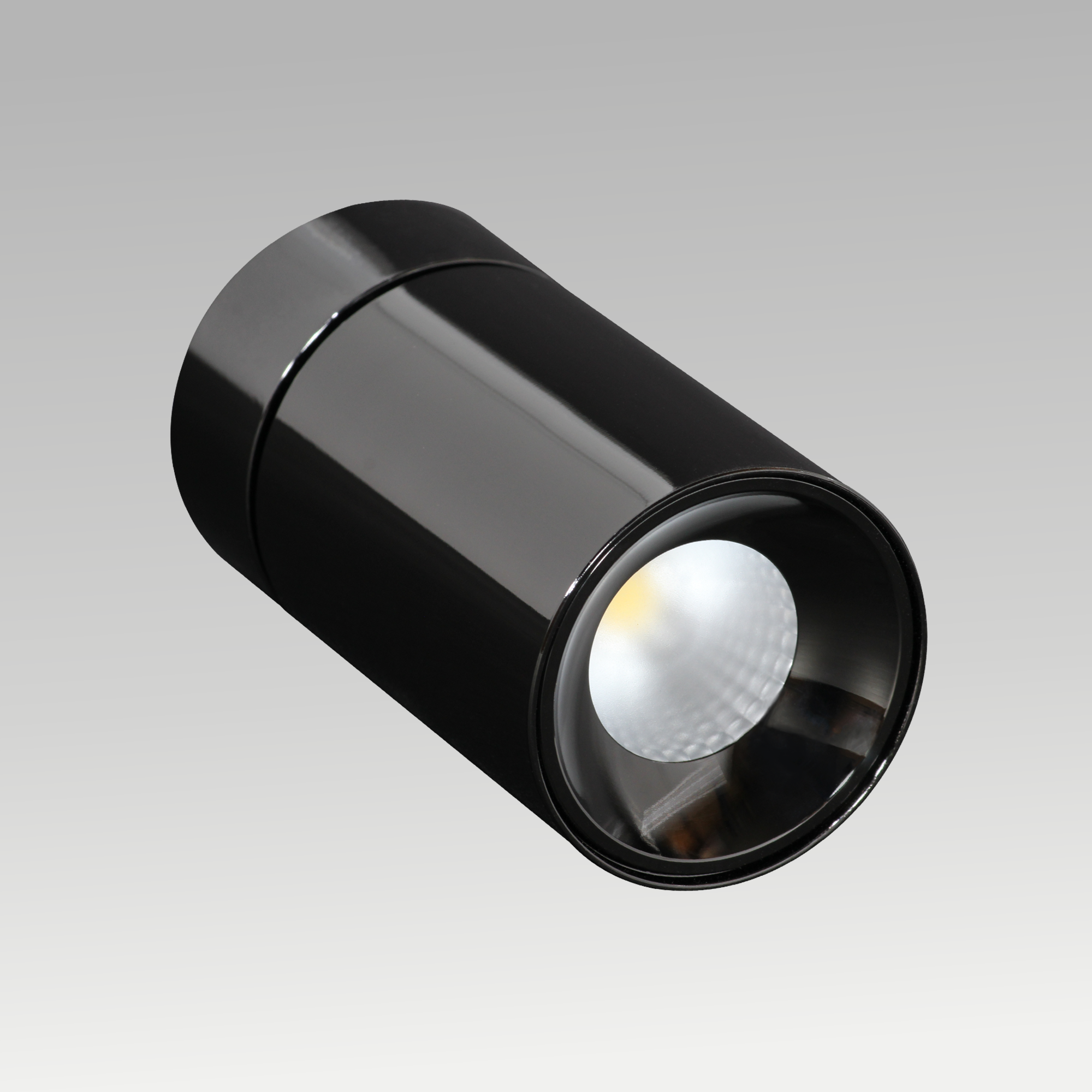 Joy Surface Downlight