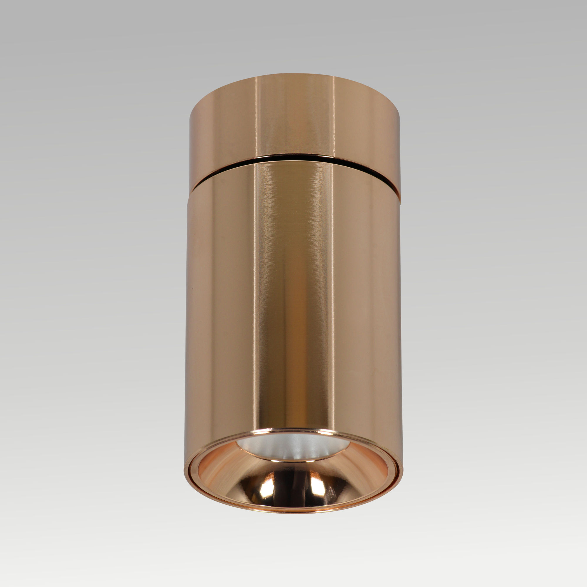 Joy Surface Downlight