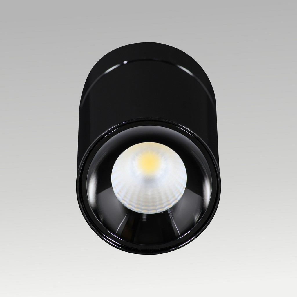 Joy Surface Downlight