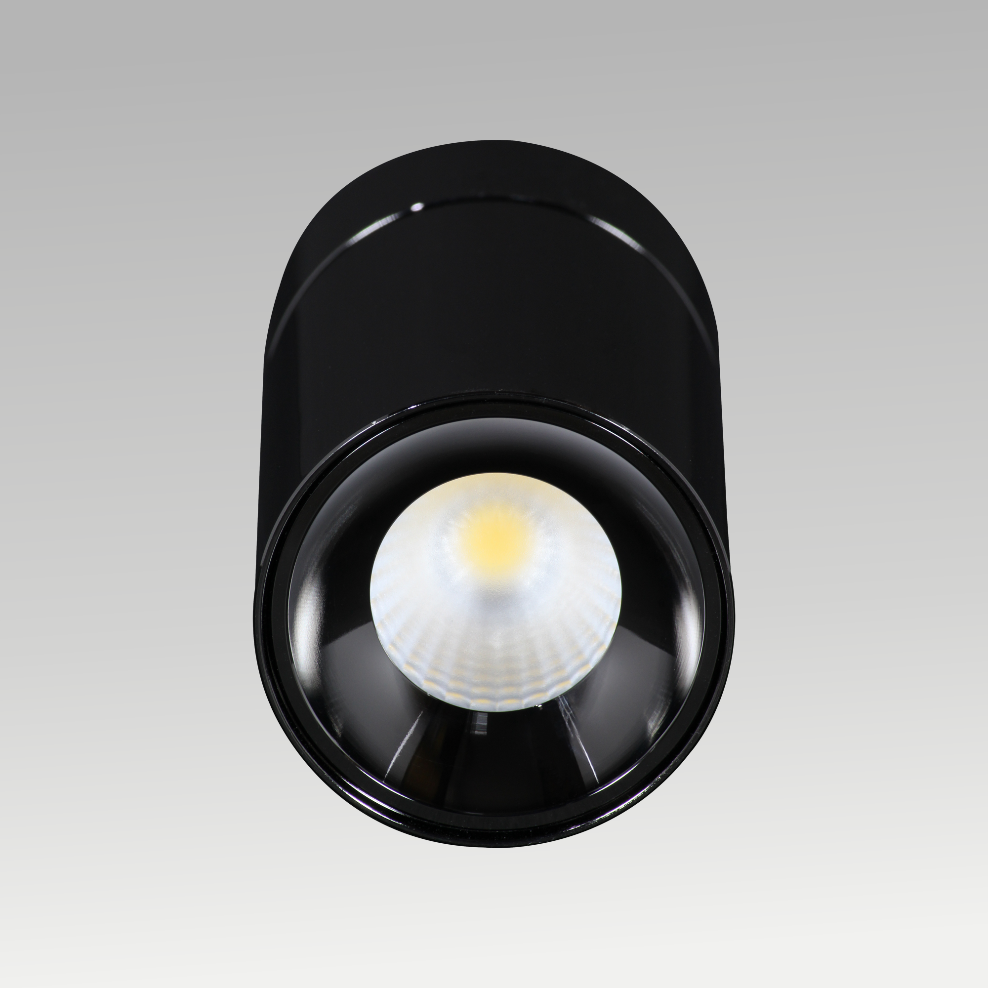 Joy Surface Downlight
