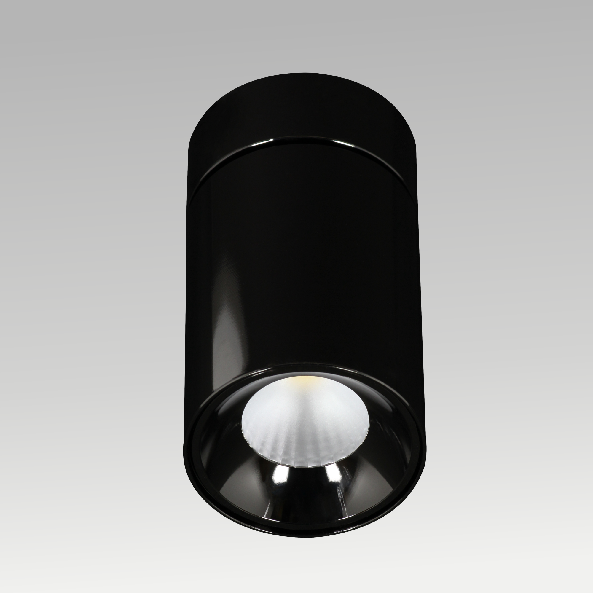 Joy Surface Downlight