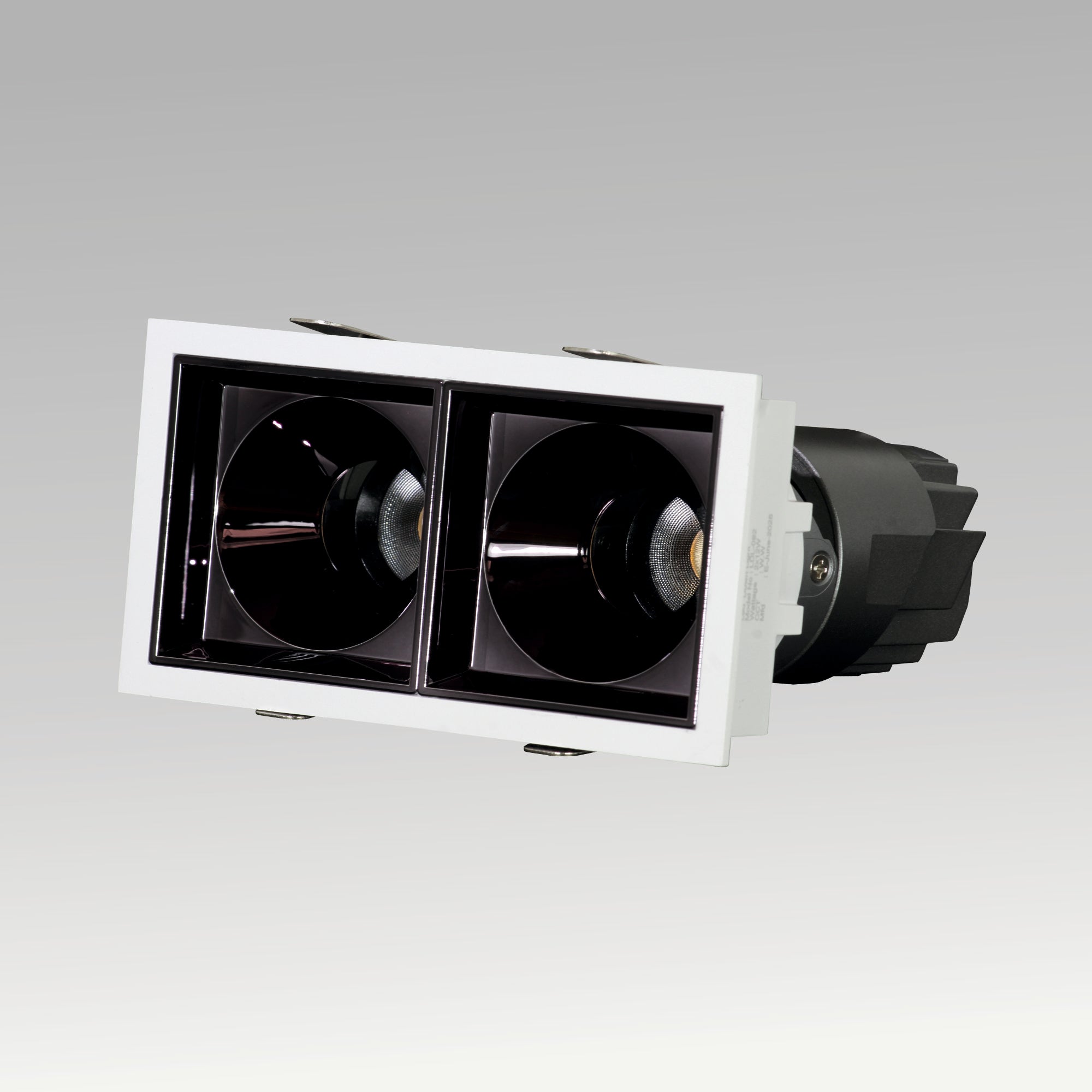 FLIX Downlight – Powerful, Balanced, Contemporary