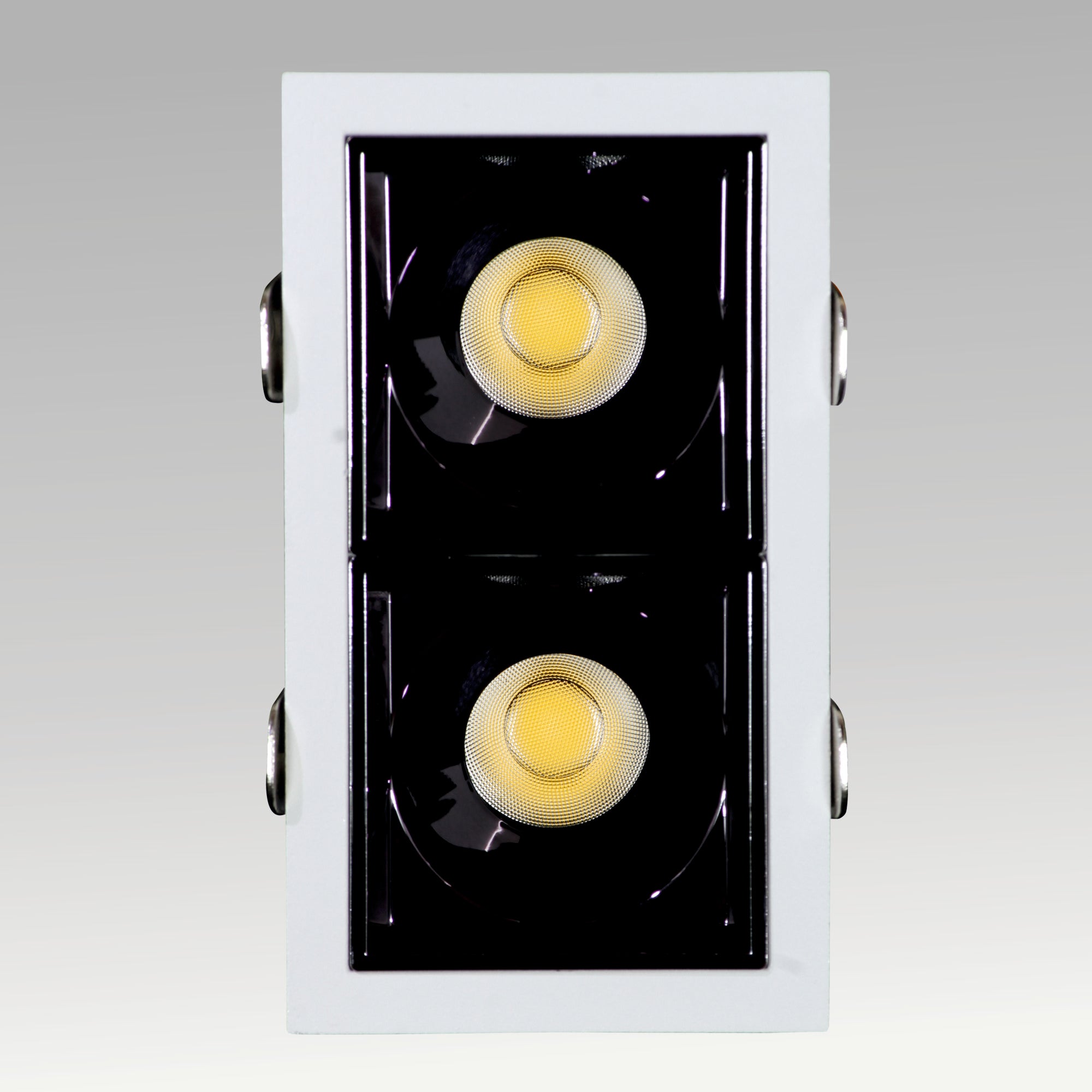FLIX Downlight – Powerful, Balanced, Contemporary