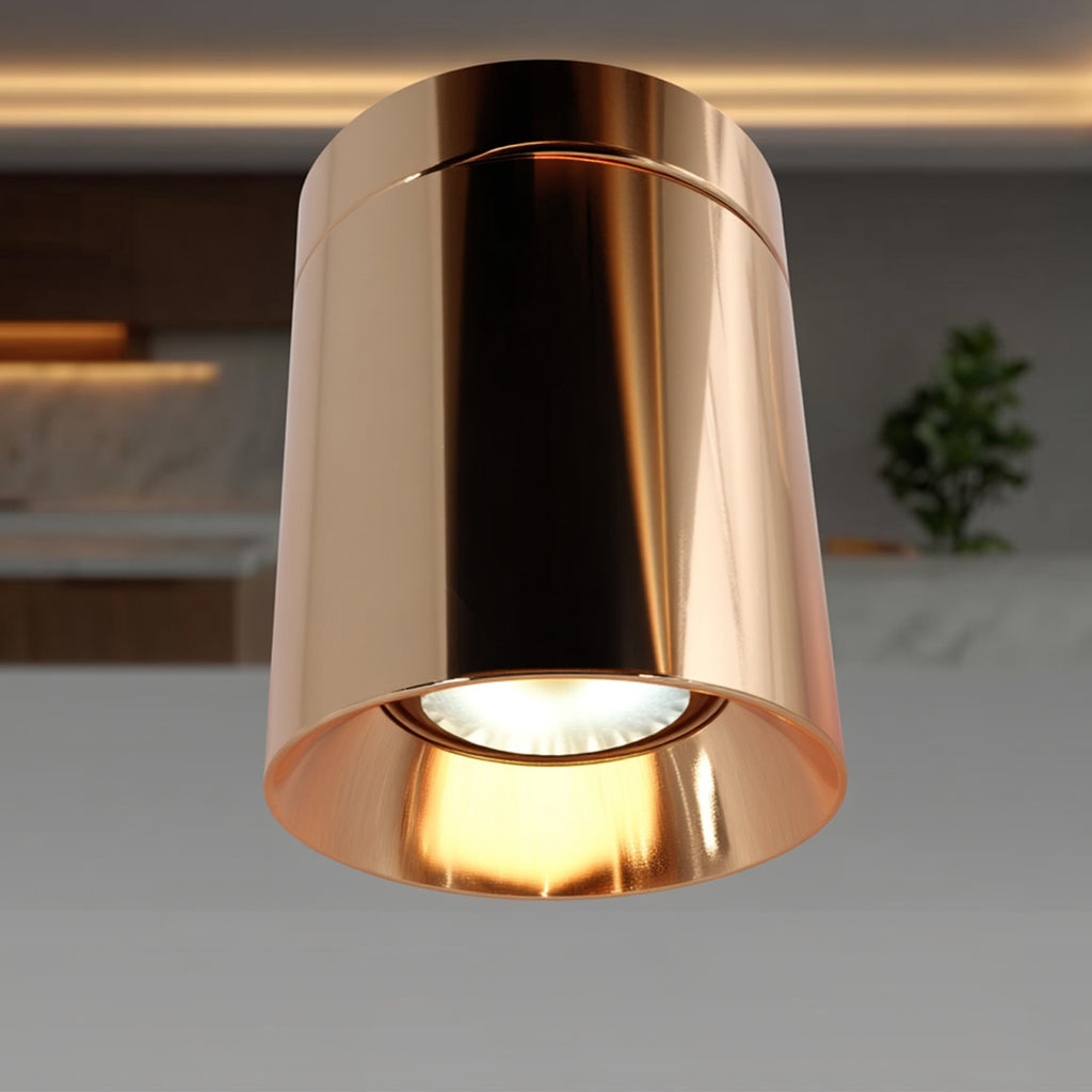 Joy Surface Downlight