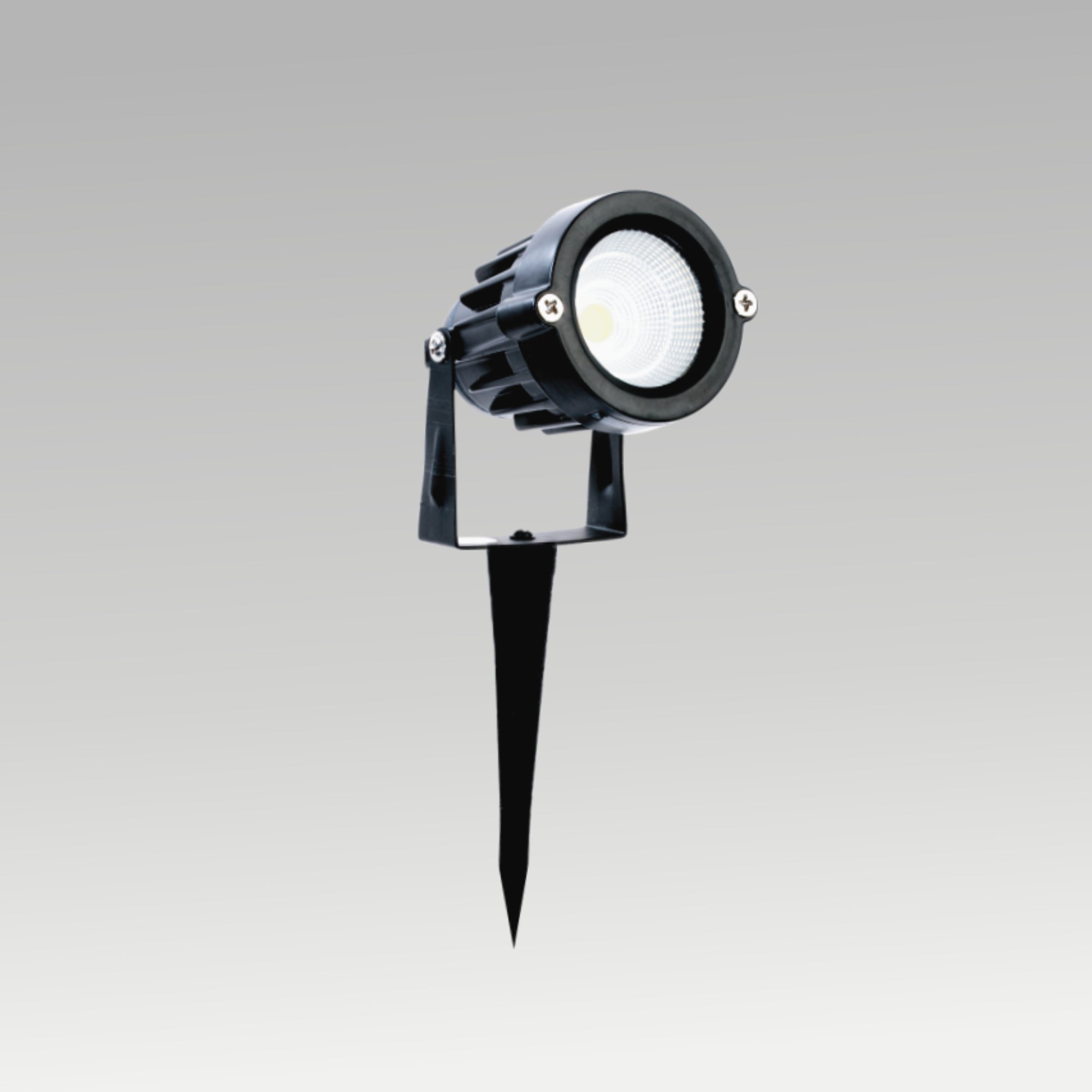 Garden Spike Light