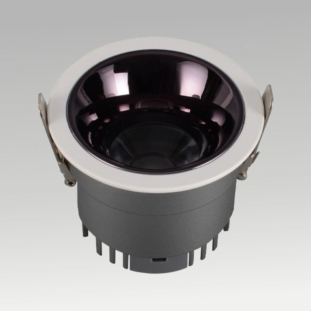 Rigel Downlight