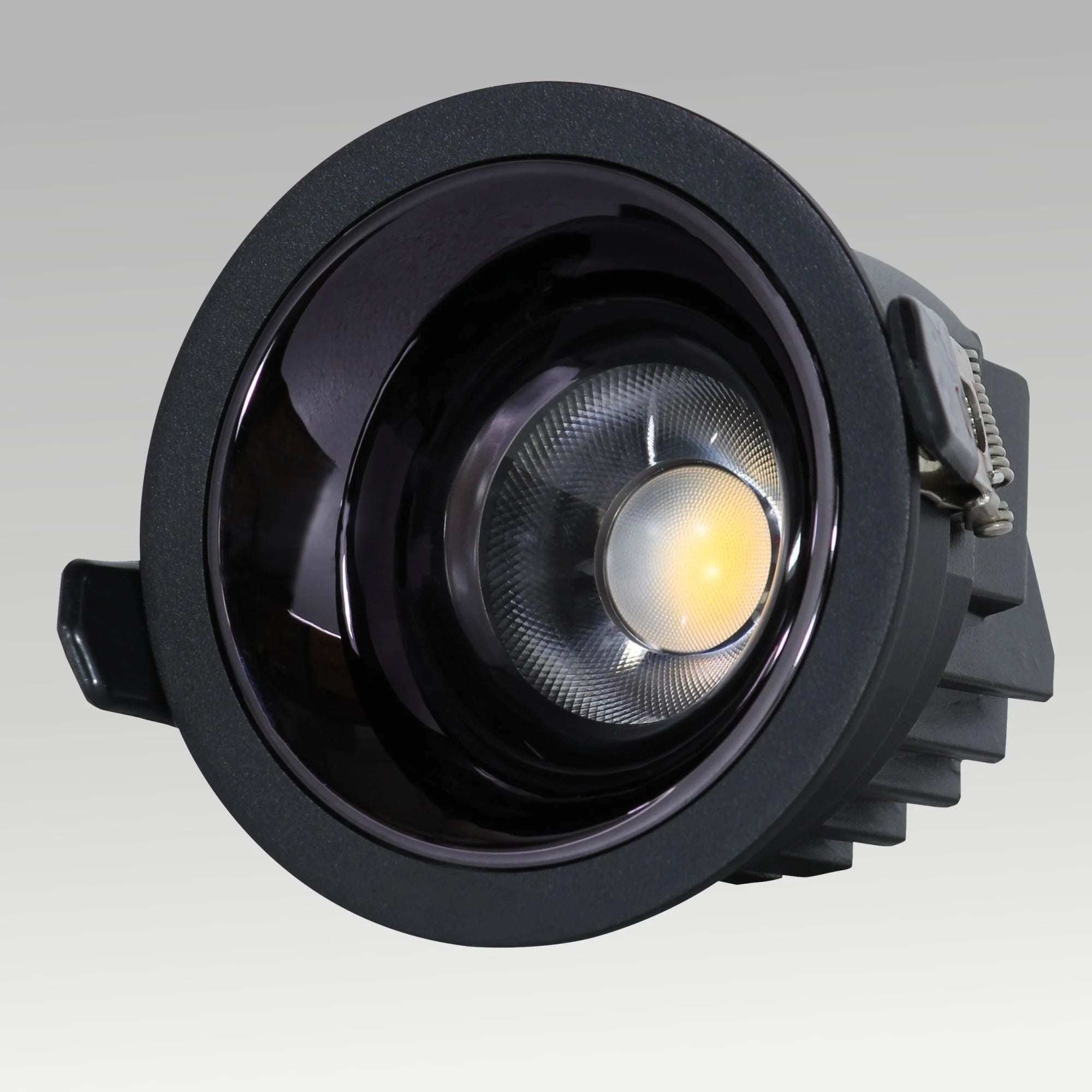 Rigel Downlight