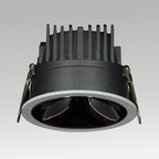 Rigel Downlight