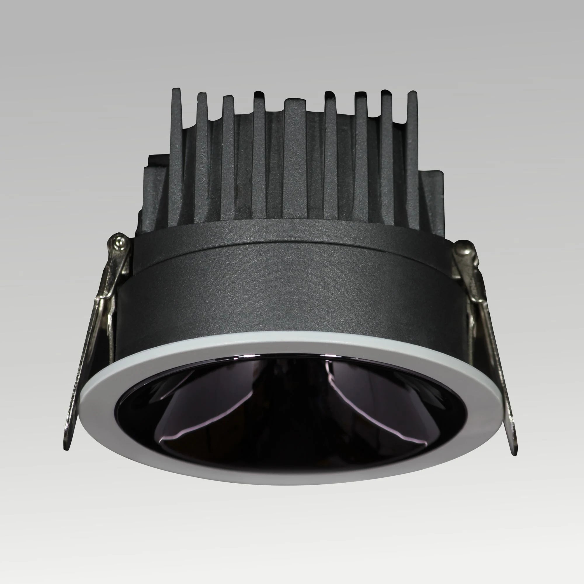 Rigel Downlight
