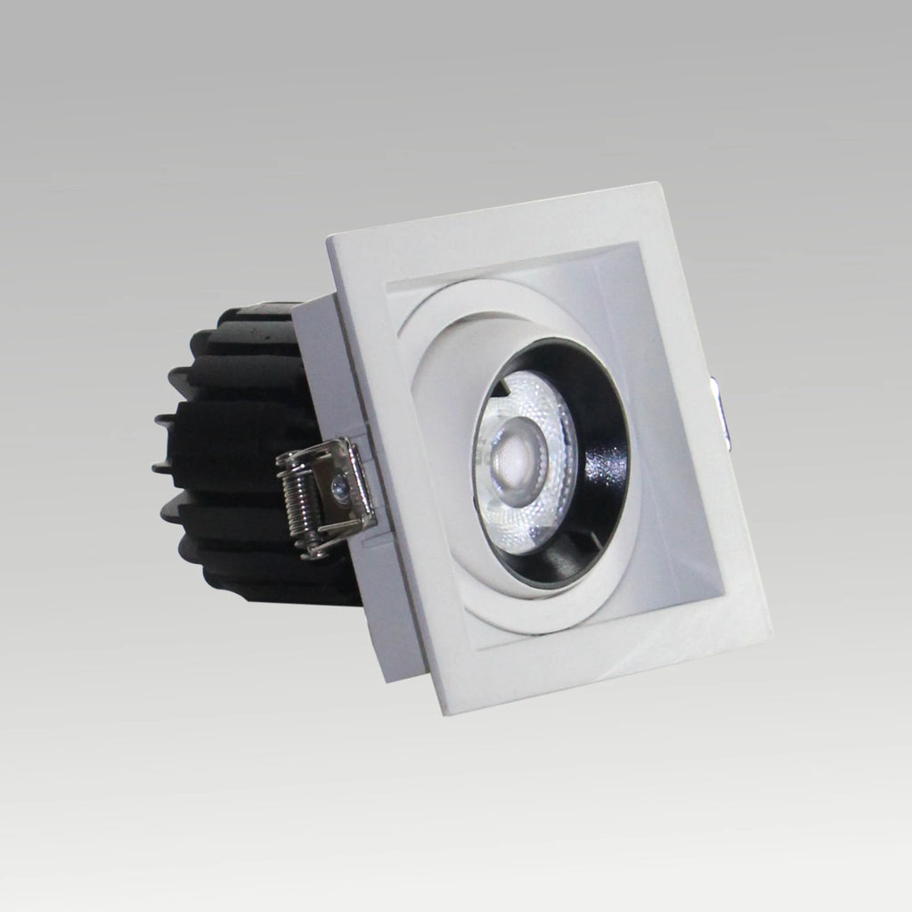 Single & Double Tiltable Recessed Downlight