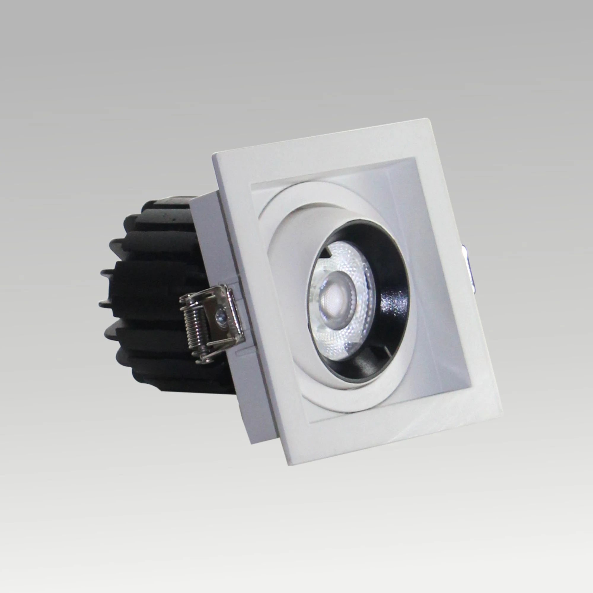 Single & Double Tiltable Recessed Downlight