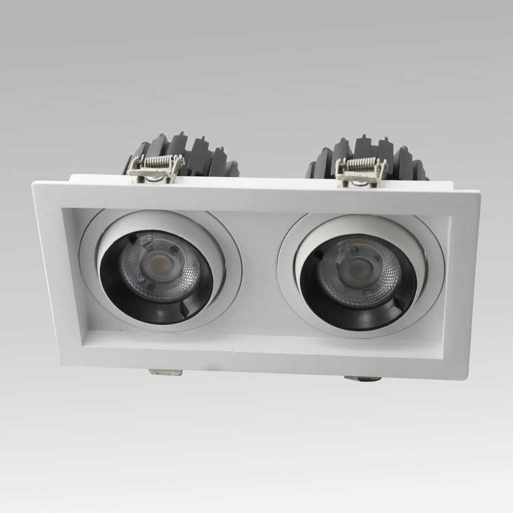Single & Double Tiltable Recessed Downlight